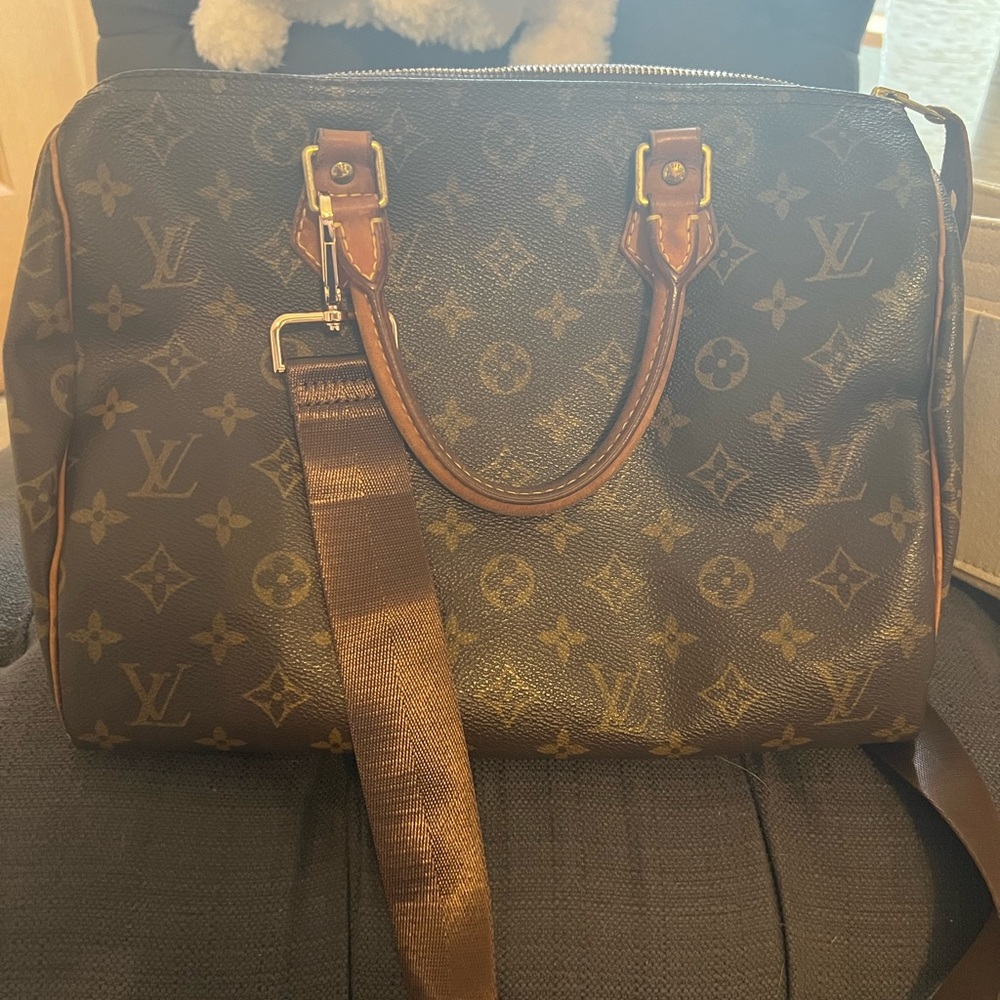 Louis Vuitton Speedy 30